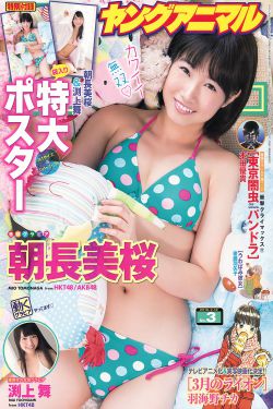 狼殿下电视剧