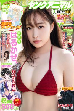 哈利波特与死亡圣器